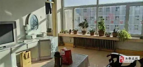 樂都1月6日精品房源速遞 精選住房出租，不容錯過！
