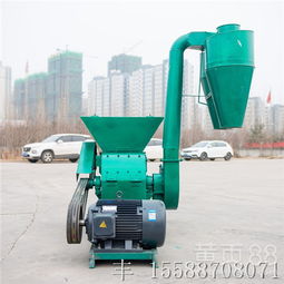 上海畜牧漁業飼料銷售市場 機遇、挑戰與發展趨勢